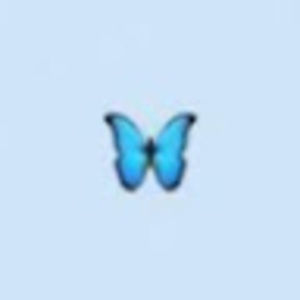 Meet your Posher, Breanna